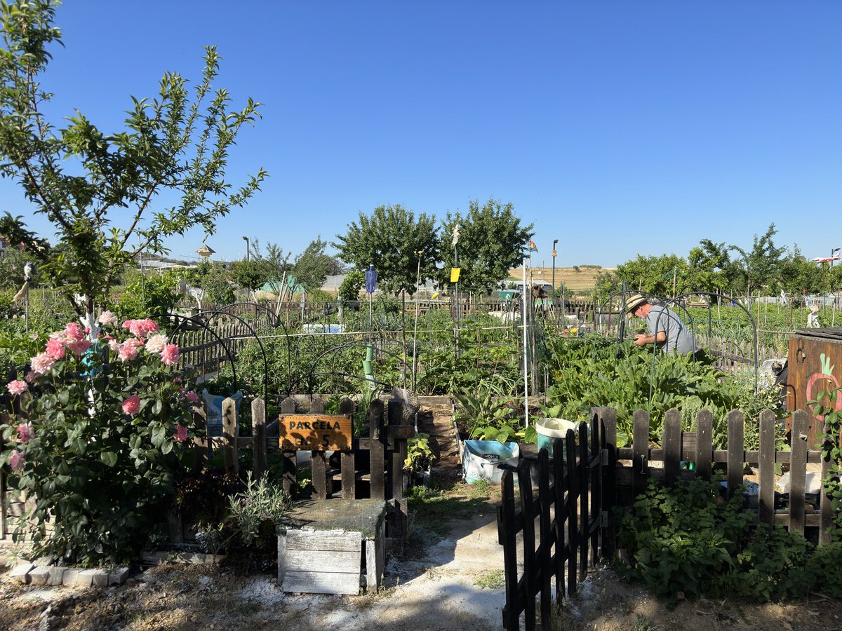pacorodriguezdh's tweet photo. Un proyecto participativo e intergeneracional que ha supuesto una regeneración de la zona mejorando la calidad de vida del entorno. Unos huertos que tienen un alto valor medioambiental que se han convertido en un nuevo espacio verde referencia de #DosHermanas . https://t.co/FVlWALwUne