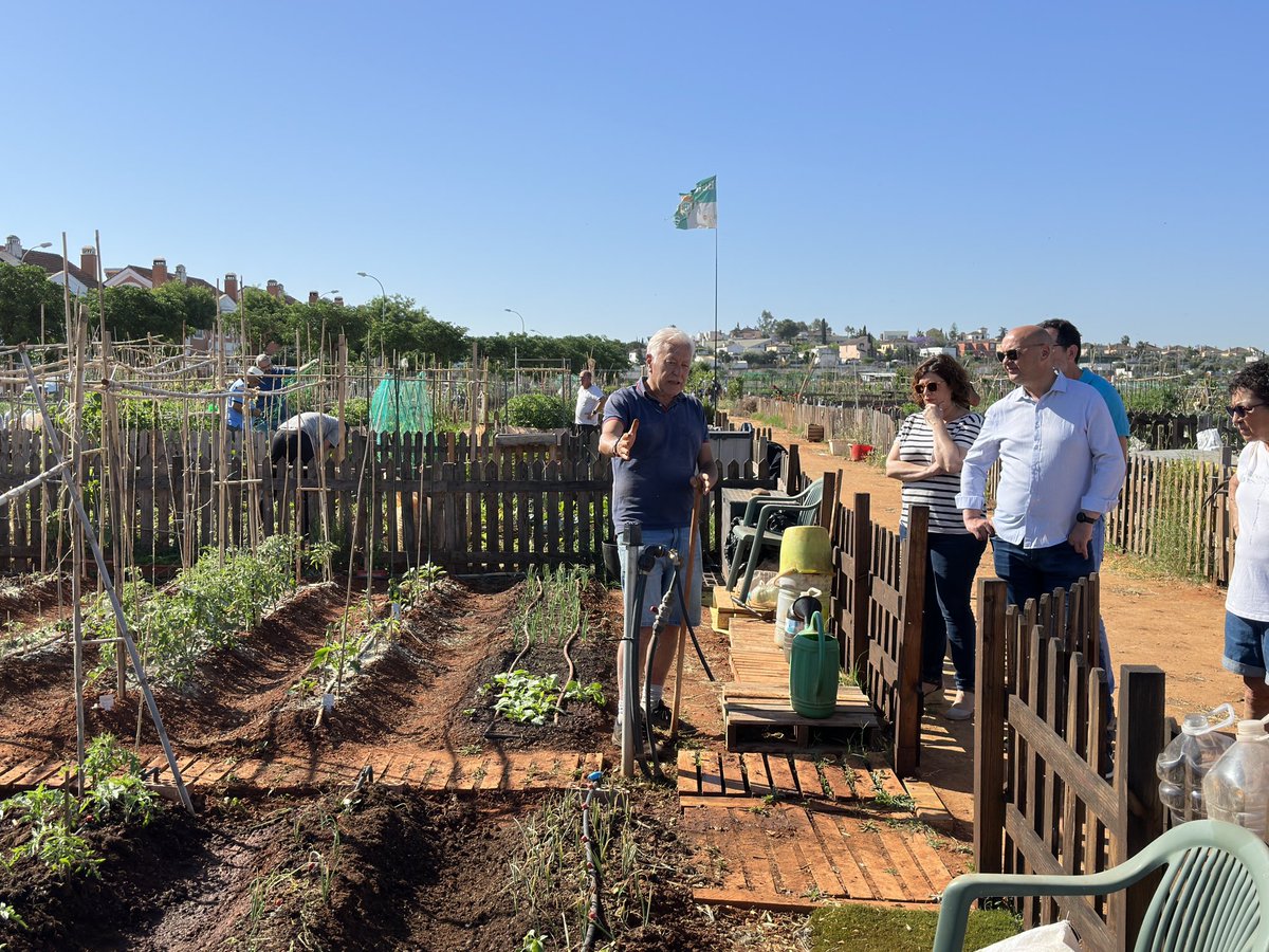 pacorodriguezdh's tweet photo. Un proyecto participativo e intergeneracional que ha supuesto una regeneración de la zona mejorando la calidad de vida del entorno. Unos huertos que tienen un alto valor medioambiental que se han convertido en un nuevo espacio verde referencia de #DosHermanas . https://t.co/FVlWALwUne