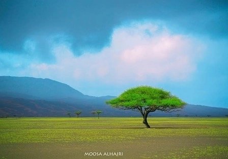 cometooman's tweet photo. تناغم الألوان وانسجامها مع جمال الطبيعة في #عُمان 🇴🇲
#عُمان
#زوار_عُمان
A breathtaking blends of colors with nature in Oman 🇴🇲
📸 @moosa_alhajri
#Oman
#Cometooman https://t.co/56PwImDWPp
