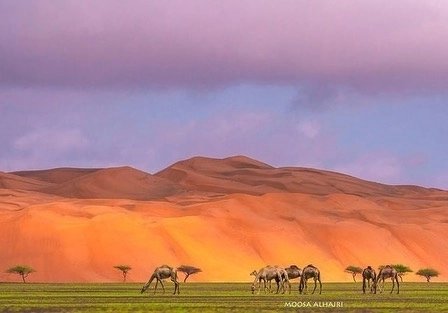 cometooman's tweet photo. تناغم الألوان وانسجامها مع جمال الطبيعة في #عُمان 🇴🇲
#عُمان
#زوار_عُمان
A breathtaking blends of colors with nature in Oman 🇴🇲
📸 @moosa_alhajri
#Oman
#Cometooman https://t.co/56PwImDWPp