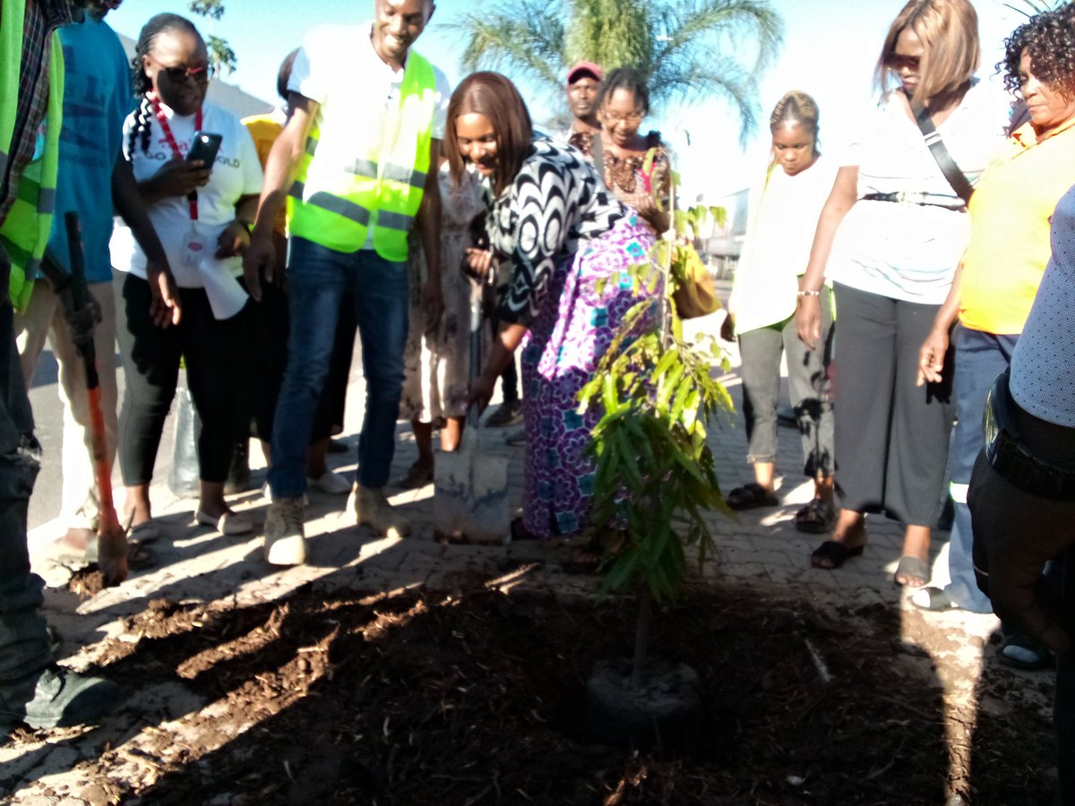 HonChrizoster7's tweet photo. Hon. Chrizoster Phiri MP for Kabwe Central says government has declared Kabwe a Green city because it's highly contaminated with lead pollution and she wants to make sure that Kabwe is dust free by planting trees.#Nankoko the MP leads a group women in planting trees in town. https://t.co/fO4tFY3san