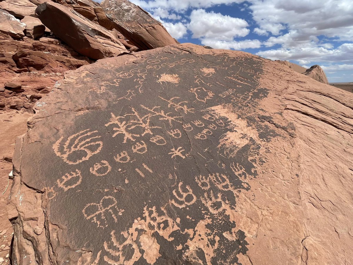nau_ses's tweet photo. The NAU geology alumni Grand Canyon trip kicked off today with vistas of the Grand Canyon, Little Colorado River and Sunset Crater, petroglyphs, kissing the Kaibab fm for good luck, and prep for getting on the river. Tomorrow we launch from Lees Ferry! https://t.co/HMwkpqhCcf