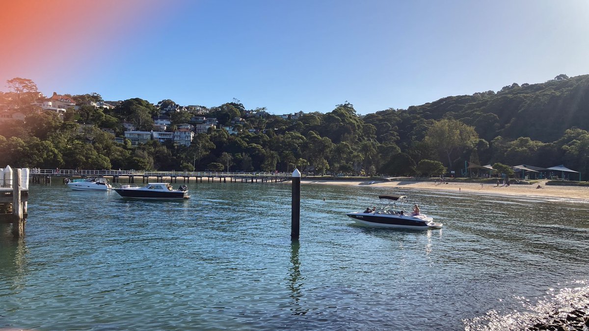 Wildsydharbour's tweet photo. We’re covering all locations on land today, PhD students @v__morris and @joshreed_mq are #furseal spotting and human surveying at #ChowderBay, #Sydney. 

What do you think about #furseals in the harbour? Let us know: https://t.co/FNXSK1clef 

#wildsydneyharbour @MPRG_MQ https://t.co/M2dc2yxSYA