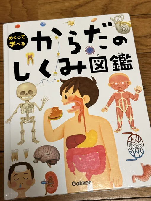 うちのちびすけは、まだノンタンが大好きな普通の5歳なんですが、昨夜ちょこっと吐いてしまったんですね。 結果、ただの食べ過ぎだったんですけれども。  英才教育とかそういうわけではなくて、本当に本人が人間とか生き物の体ってどうなってるんだろう? と思った3歳位のタイミングで、画像のような本を一緒に読んだり、体の中で何が起きているかをなるべく科学的に説明するように育てました。  お料理してる時は、お肉や魚や骨をこれはそこそこだよとか、牛さんの肩のお肉だよとか、なるだけフラットに教えてきました。  昨夜、ママお腹が痛い と言うので、どこが痛いの?と聞くと、「おへそよりもう少し上だから、胃が痛い。」 と答えてくれました。  以前はおへそより下だから、腸が痛いのかもしれないと言っていたこともあります。  自分の体がどのようにできていて、何を何のために食べているかとか、怪我したときにどうなるかとか、そういうことって、できるだけロジカルに教えておくと、本人も理由が理解できているので、変に怖がったり恐れたりしないものなのかなと思ったりします。  今度の予防接種は、週明けの月曜日に打ちたいと本人が言うので、予約が取れたら、月曜日に行こうねと言ってあります。  乗り物とノンタンの好きな普通の5歳時ですけど、ずいぶんお付き合いがしやすくなるものだなと思ったりはしています。  子供の件とは関係ありませんが、インコさんとも、インコさんに飼い主がなぜこういうことをしているのか、と言うことをわかるように、行動で示すように気をつけていると、お互いの相互理解って深まるものでしたよね。  そういった経験も生きてるのかなと思ったり…。  でも、1枚目の子供の図鑑、帯に、理系脳が育つ!勉強のできる子に!!みたいなうへえ!みたいな言葉が書いてあって、良い本なのに、ある種の人間は逃げてしまう帯だなぁと思ったりしました…😅