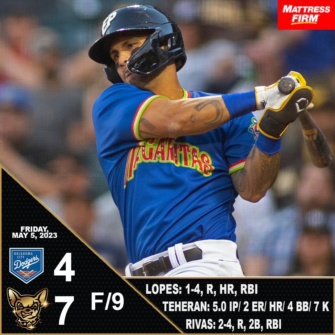 Thunder (@ThundertheDog) / Posts / X