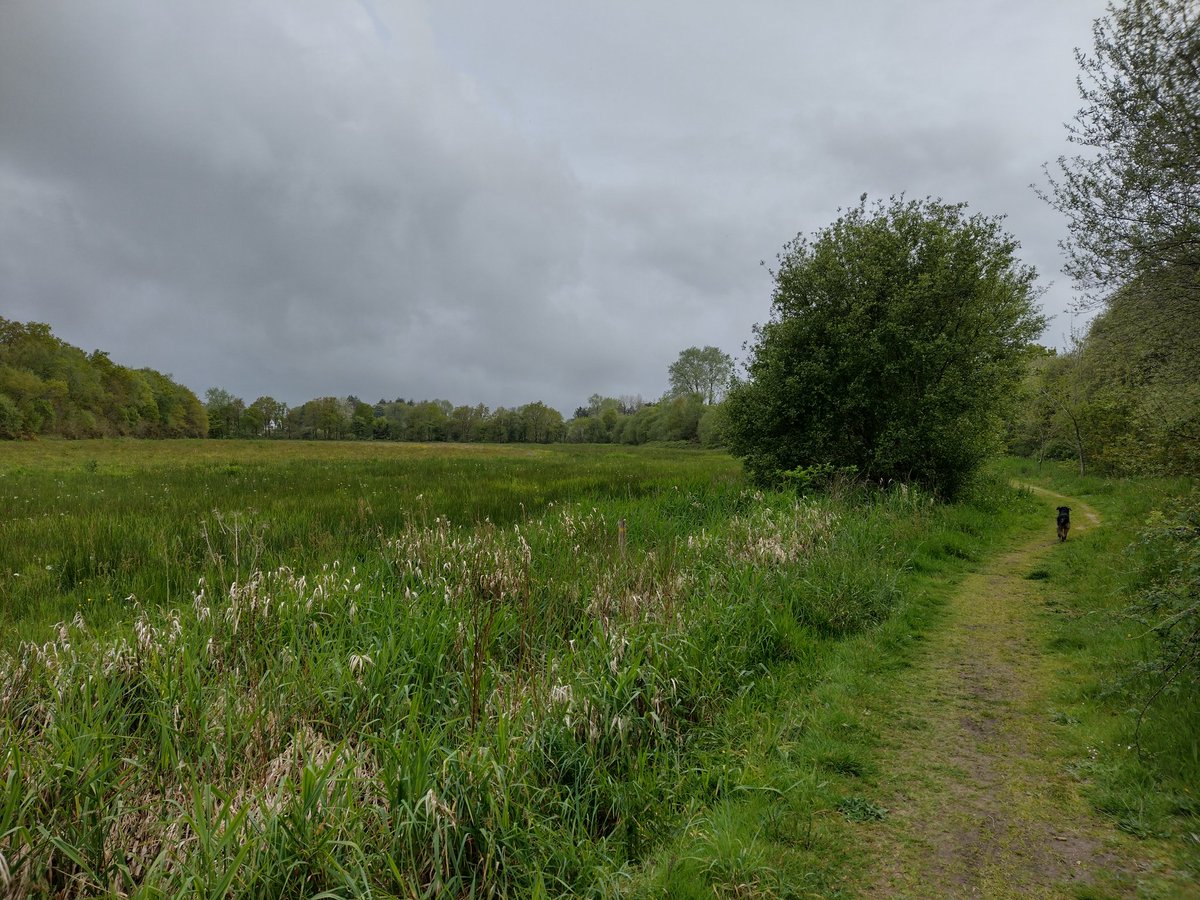 ThiChaplain's tweet photo. Hier c'était #randonnée entre #marais et #prairieshumides et ils n'apparaissent pas sur #Géoportail, pas mal pour les accidents. https://t.co/hyRxz6qPfB