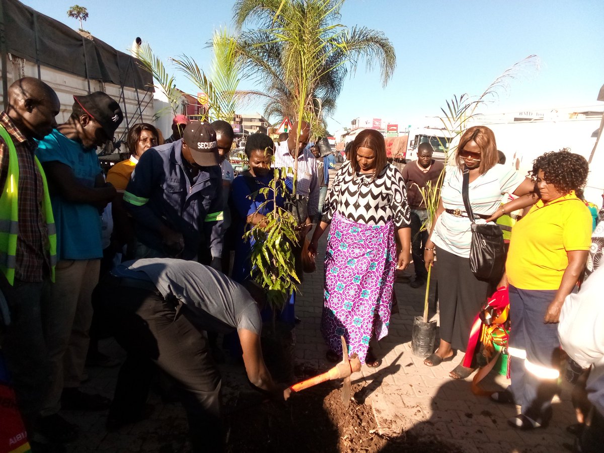 HonChrizoster7's tweet photo. Hon. Chrizoster PHIRI Member of Parliament for Kabwe Central says that she's actualizing the President HH's policy of making Kabwe a Green city because it's highly contaminated with lead pollution. She said this when she lead a group of women in planting trees in town.#Nankoko https://t.co/aroMsFMFAs