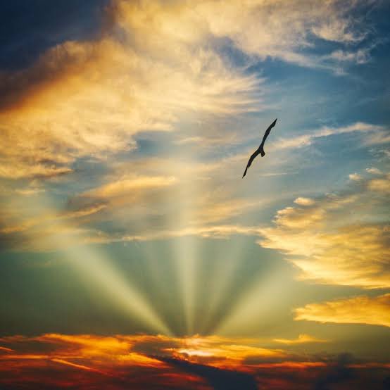 jittipoj's tweet photo. @hantounosisi2 月落日升心之诗

月が沈む
朝日が昇り
心の詩

the pale moon descended,
the bright morning sun rose,
poetry of the heart

🔅

#vss365 #inkMine #Zees 
#haiku  #poem #poetry #prose #haikuchallenge #freeformhaiku #prompt
#诗词 #散文  #俳句 #对联 #短歌 #writingcommunity
#poetrycommunity https://t.co/8oNC62ooKX