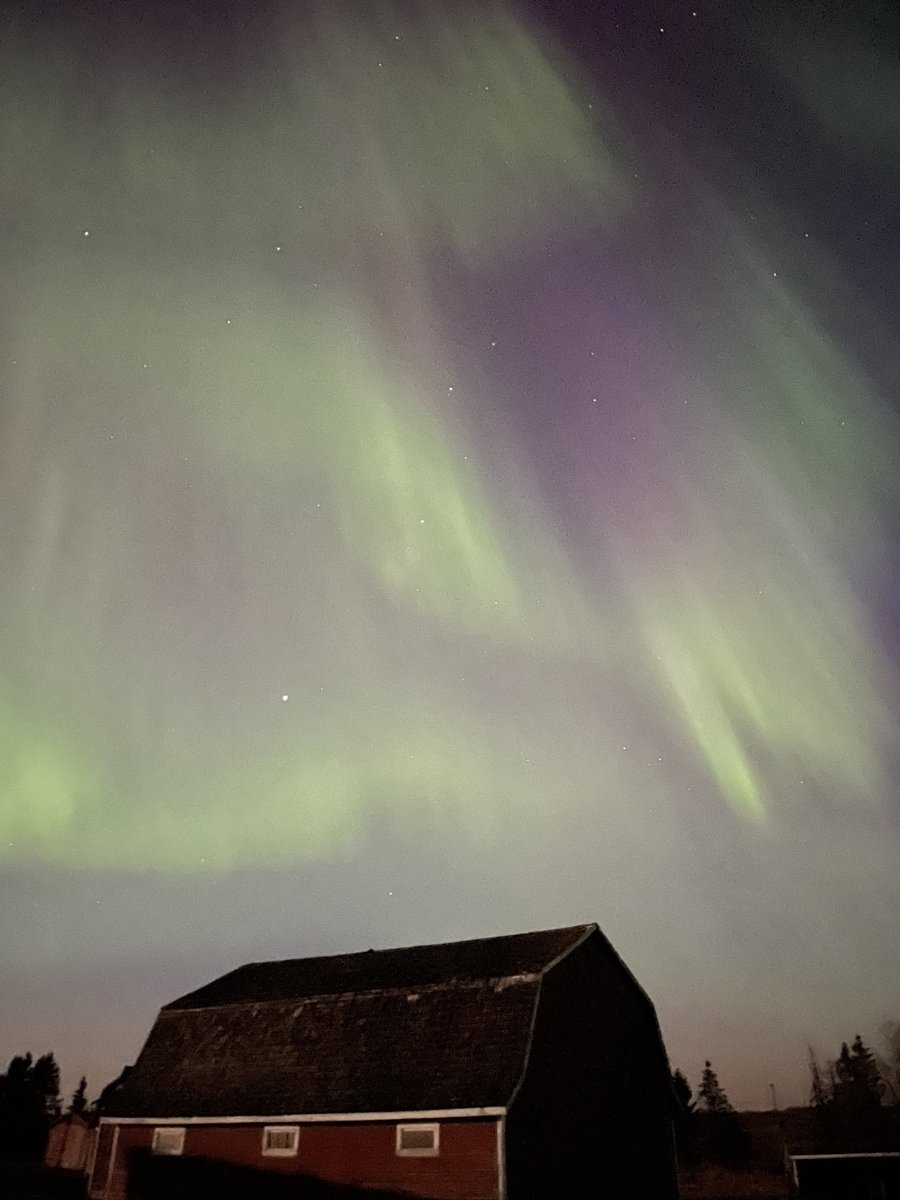 Jerry Thiel tweet media