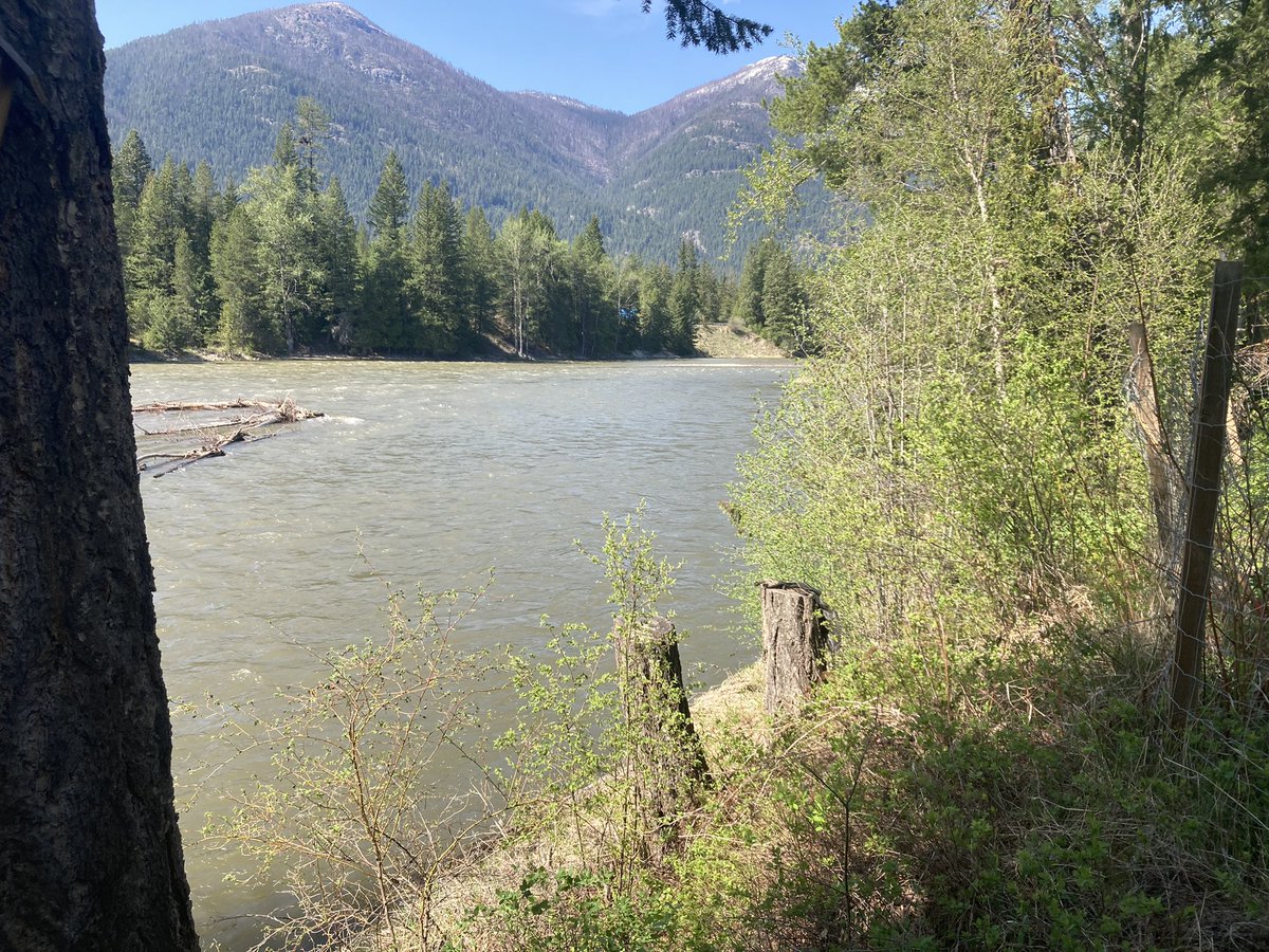 So flood and fire season seem to be overlapping in B.C. this spring. I’m listening to rain fall and know our river is rising, but we’re fine so far. Thinking of all packing belongings and sand bags today. #bcstorm #bcwildfires