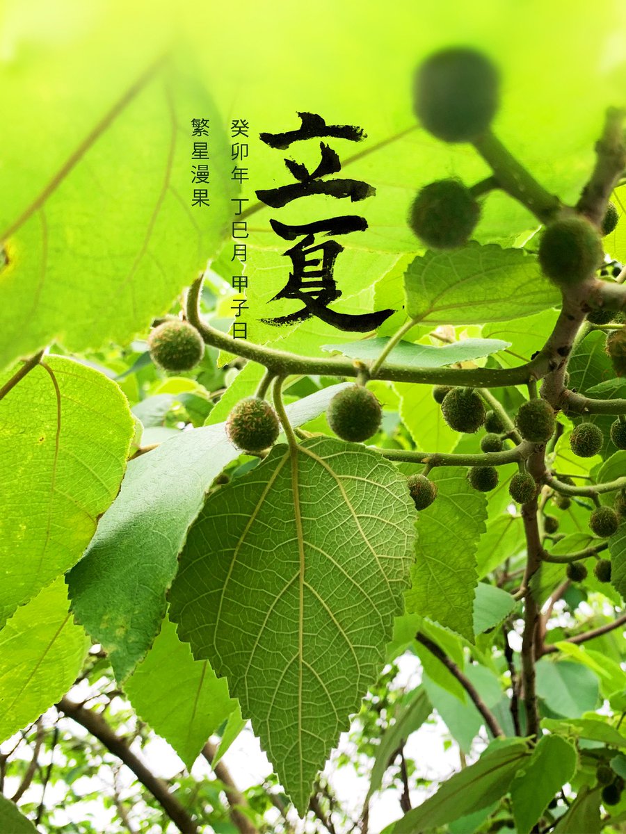 upUID's tweet image. 立夏,繁星漫果。
25.741, 112.740
#二十四节气 #立夏 #二十四節氣 #書法 #毛筆字 #书法