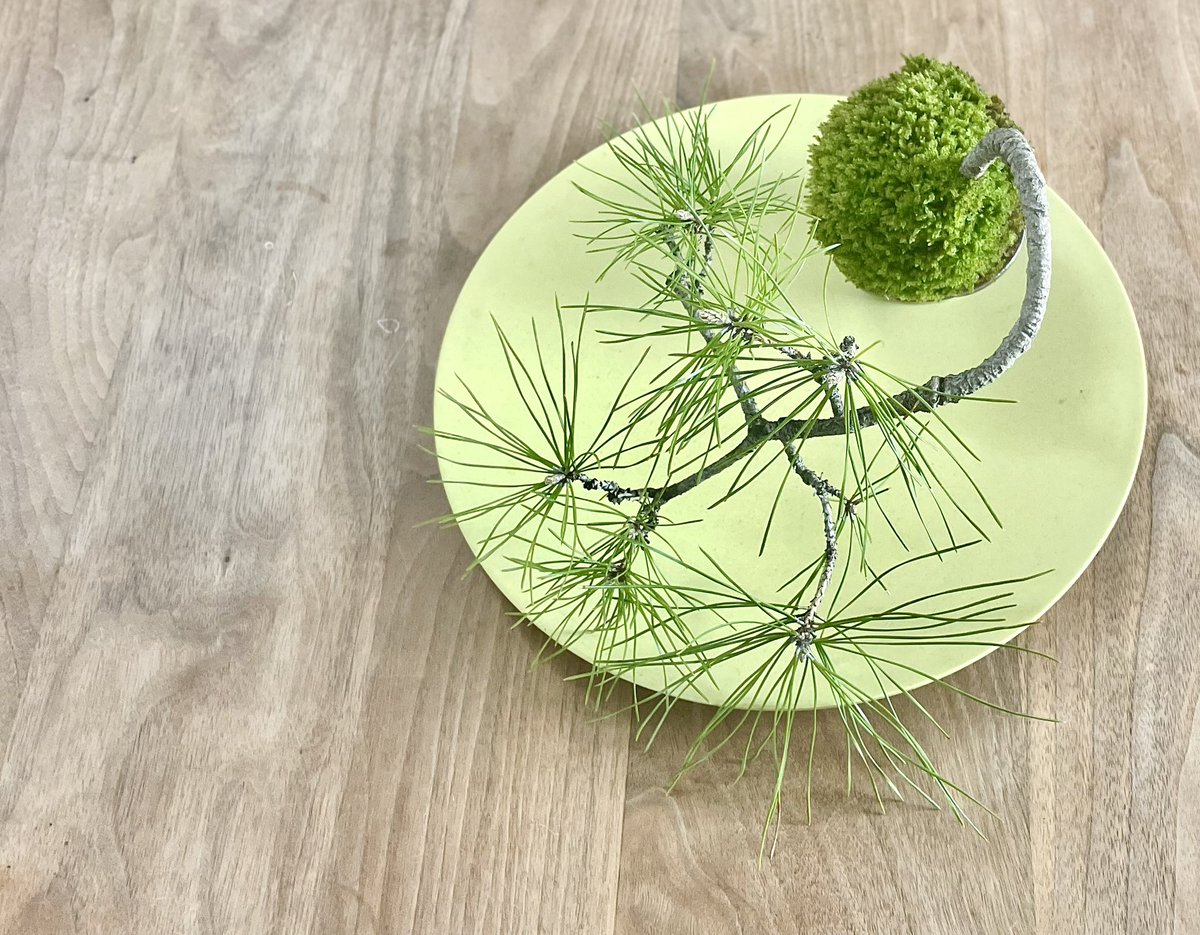 ねいろ tweet media