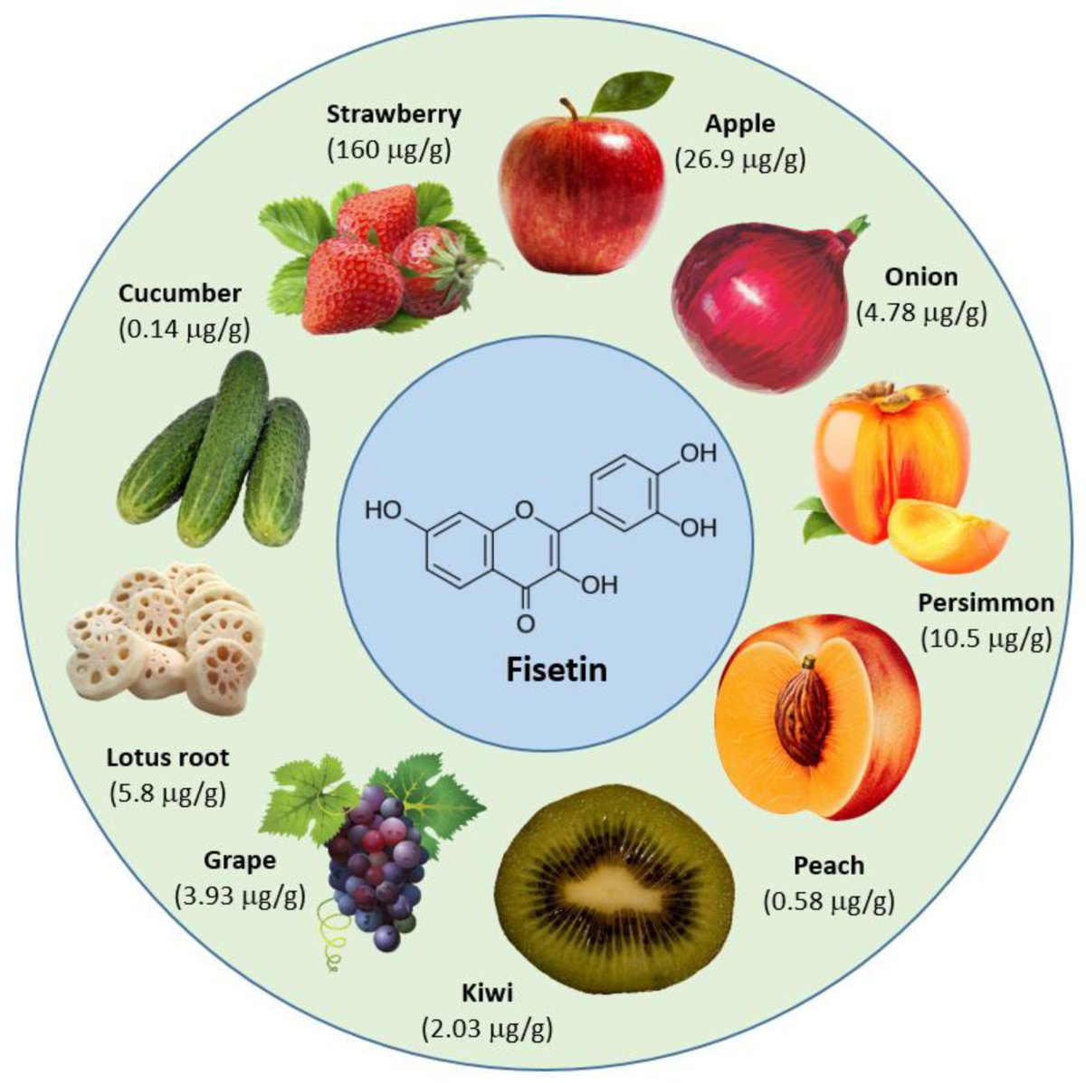 Molecules_MDPI's tweet photo. 📌#fisetin #cancer #cellsignalingpathways #synergisticeffect #bioavailability
New Publication “The Potential Role of Fisetin, a Flavonoid in Cancer Prevention and Treatment”
By: Arshad Husain Rahmani, et al. 
👉 https://t.co/eNDrPfCnUv
#mdpimolecules #NewPublication https://t.co/Fs1RVqqhdj
