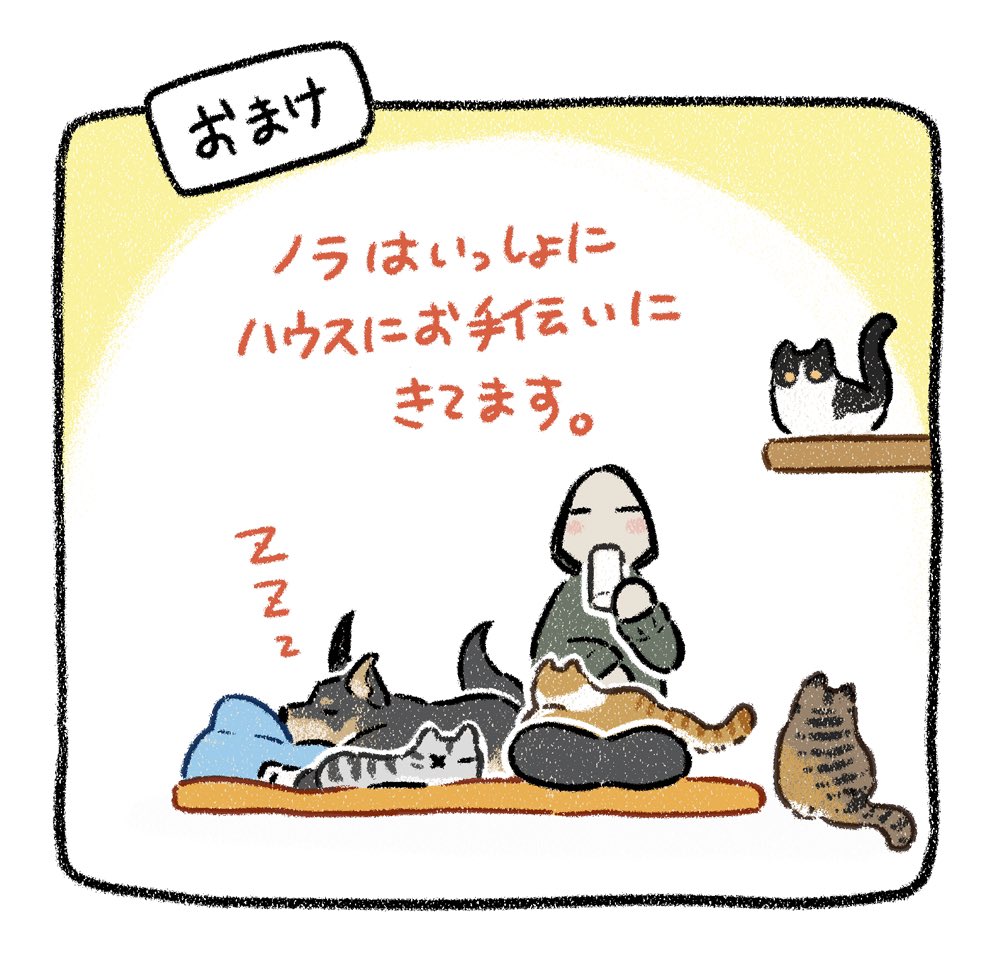 猫にもモテる謎犬ノラ 
