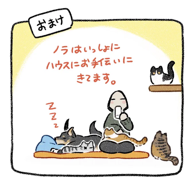 猫にもモテる謎犬ノラ 