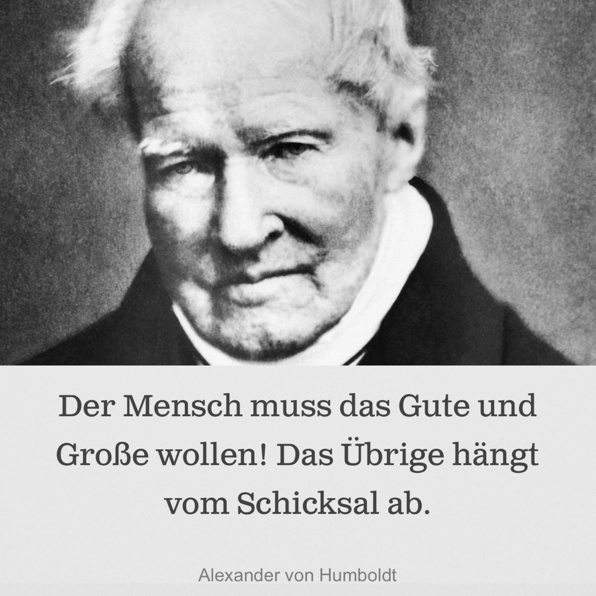 koschyk's tweet photo. heute vor 164 Jahren am 6. Mai 1859 verstarb Alexander von Humboldt in Berlin https://t.co/XWSH1yS9Qd’s_Tod_und_Leichenbegängniß https://t.co/pENUvVDFPW