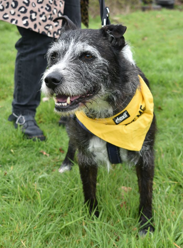 Animal Adoptions UK 🐕‍🦺🐈🐎❤️ tweet media