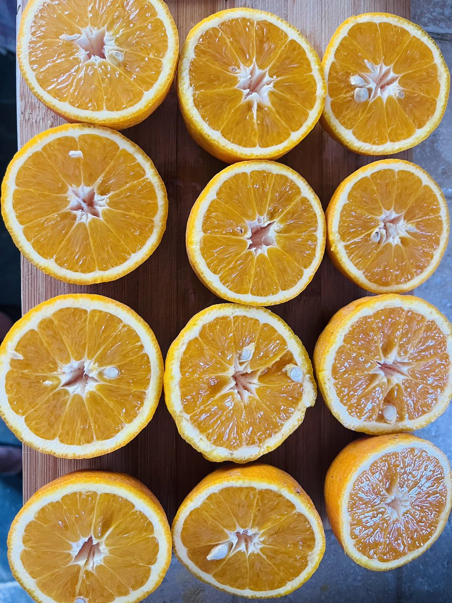 sbcdigital's tweet photo. Gesundes Seminarfrühstück. Da kann der Tag nur gut werden.
#lebenslangeslernen #change #sbcdigital https://t.co/cTNkQqwyzz