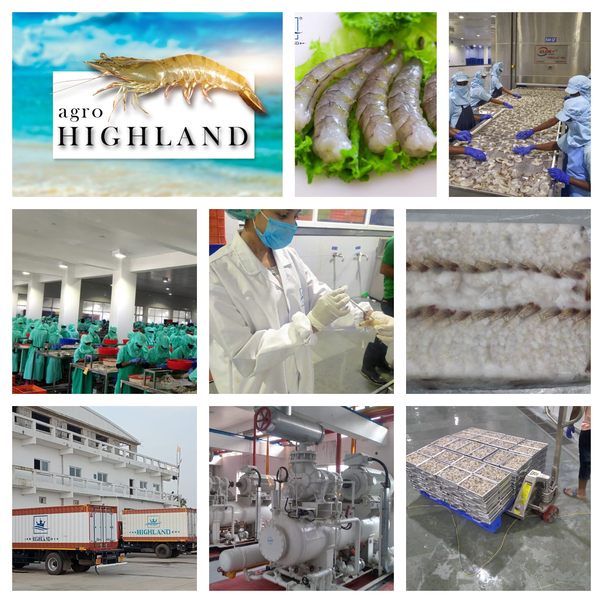 AgroHighland's tweet photo. Highland Agro Food Plant in Odisha Province of India.
Capacity= 100MT/Day
Area = 09 Acres
Products = Vannamei Shrimp
Output = Block &amp; IQF
Enquiry = md@highlandgroups.com

#seafood #Export #frozenshrimp #shrimpexport

https://t.co/Y1z67RTsTZ https://t.co/ITadR7h3Gi