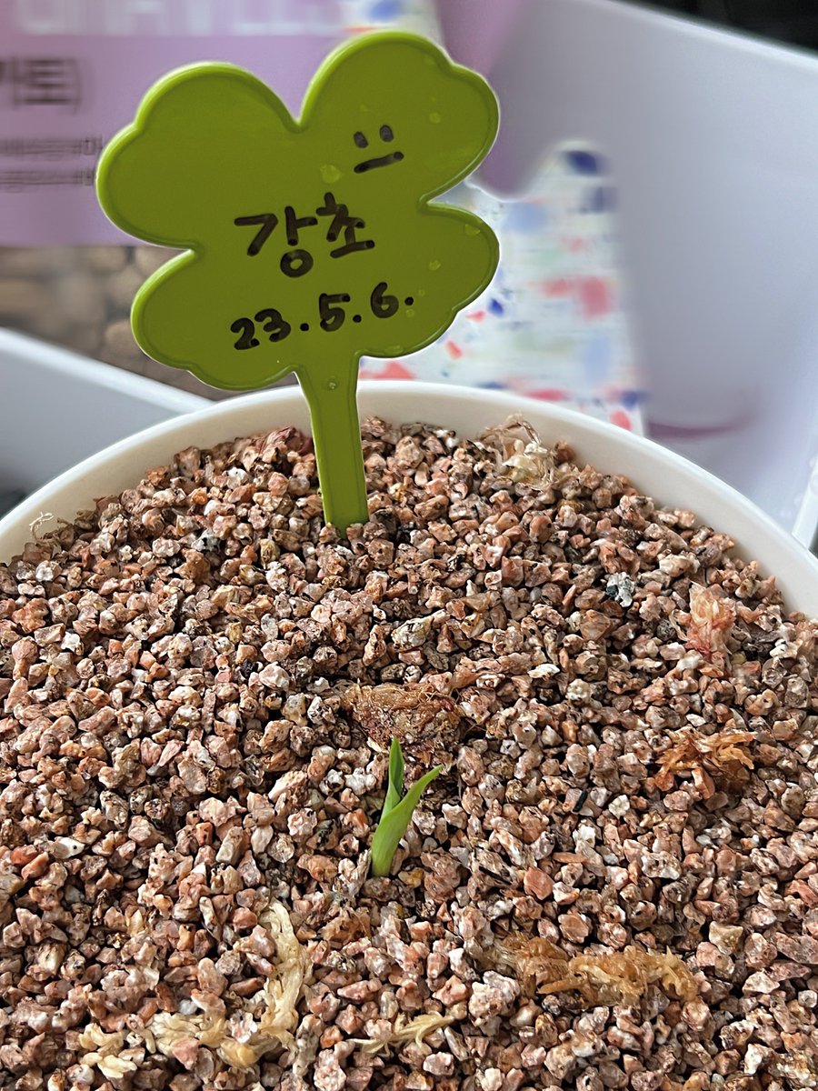 🌕 빈이의 우주 달빈달빈 tweet media