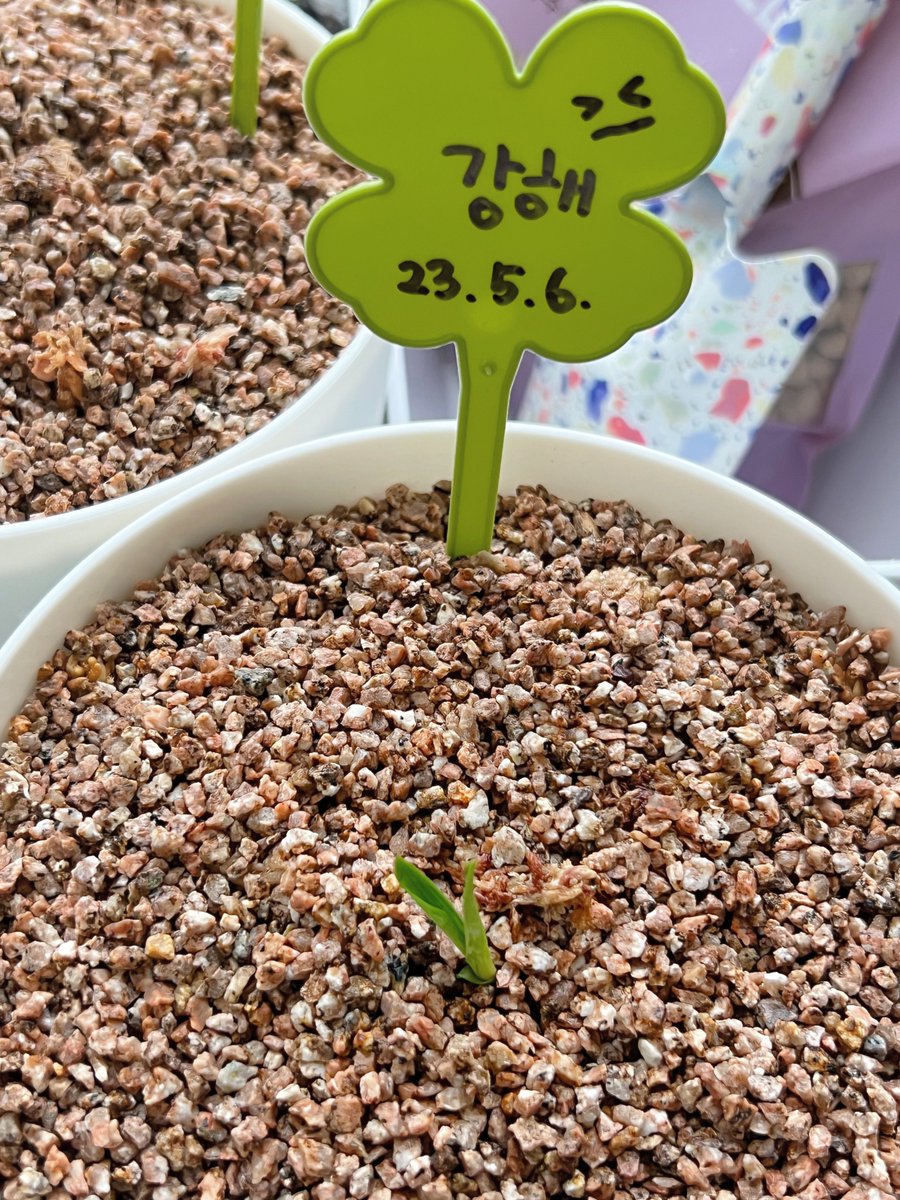 🌕 빈이의 우주 달빈달빈 tweet media