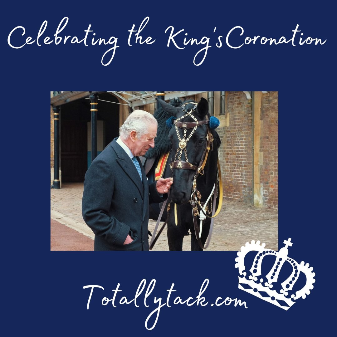 Totally_Tack's tweet photo. 👑
photo credit- theglobleandmail https://t.co/qBhr2MQYJc