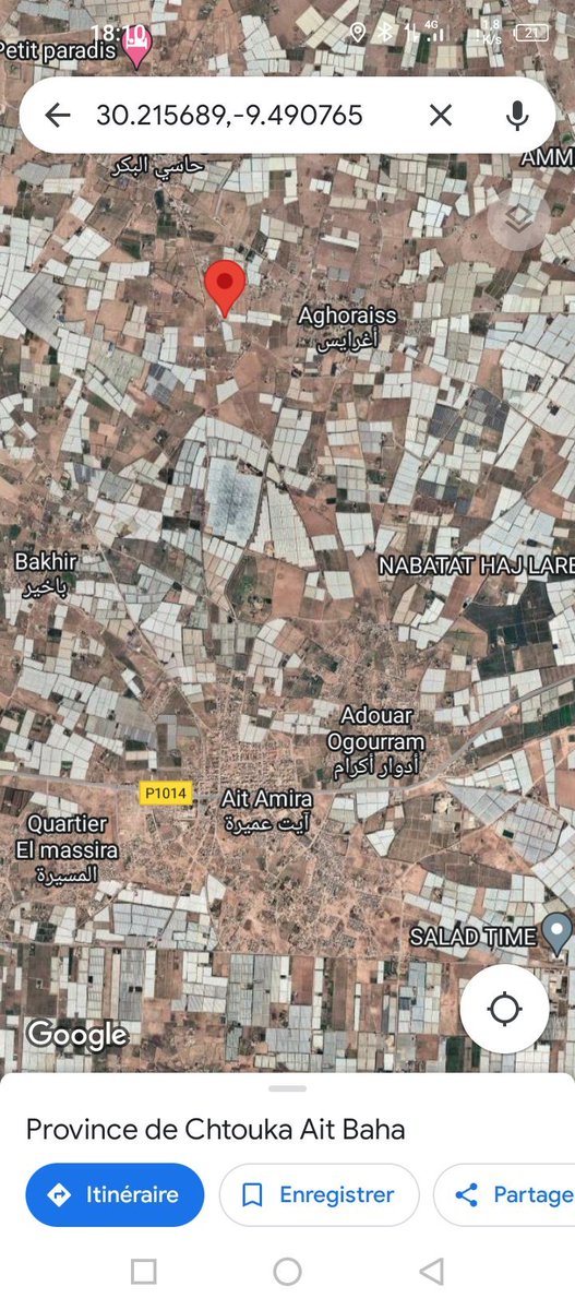 Google Maps SAT-Aufnahme der beschriebenen Region. Die Landschaft ist geprägt von Foliengewächshäusern.