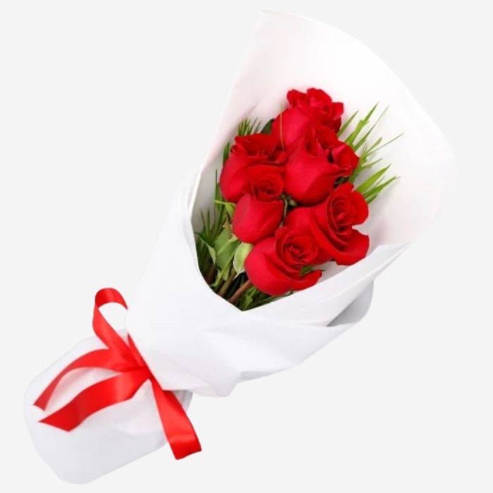Ali65677346's tweet photo. @hebagam19089277 https://t.co/AQgKfpLonl