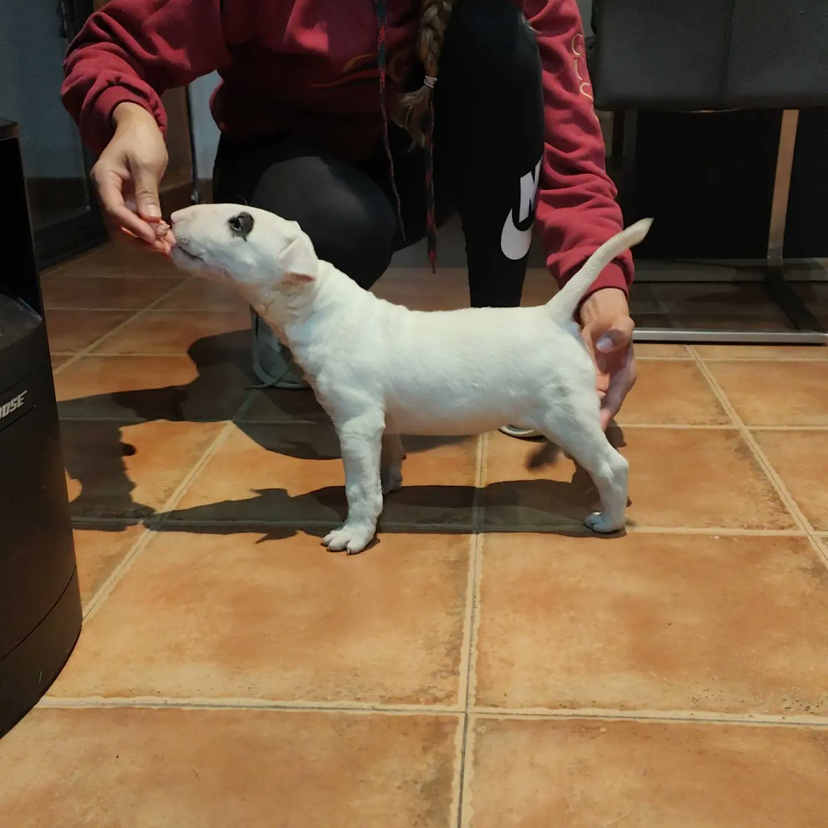 Esta nena será una bomba..Más información por privado