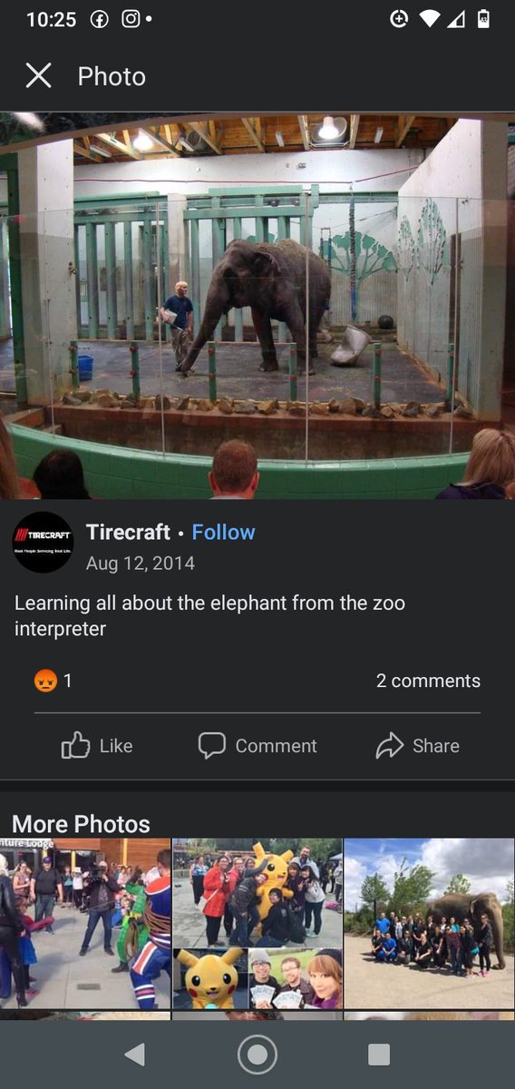 JulieKi53713414's tweet photo. Edmonton Valley Zoo

Lucy a helpless voicelessINNOCENT pri$oner nearing 50yr$ parked in a tinyGARAGE 90-95% of her existence. Pro$tituted easily simply because Lucy cannotSpeak or escape. I was told the plan in place at Lucy's end is likely euthanasia,💯dissection💯Incineration🔥 https://t.co/C4KMorWznJ