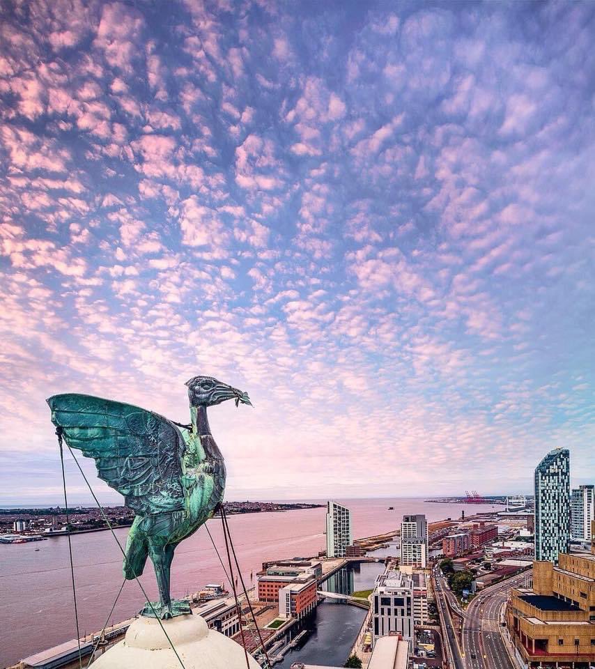 Good morning #Liverpool 

📸 Peter Hughes

#Liverpool #property #coronation