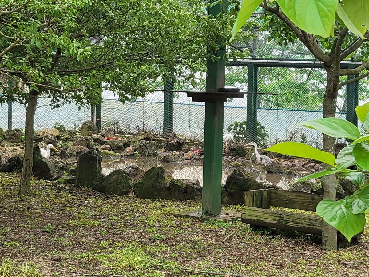 오늘 동물먹이주기체험 이런거 하는데서 하는 수업이라 벌써부터 화나서 갔는데
(동물체험 반대파)
여기 다...아픈애들 구조해서 방사 불가능한 애들만 있어서 
눈물을 흘리며 듣고있다.