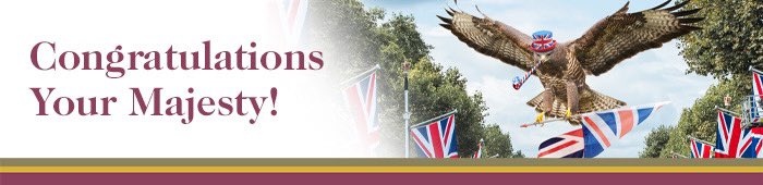 TalentHawk tweet media