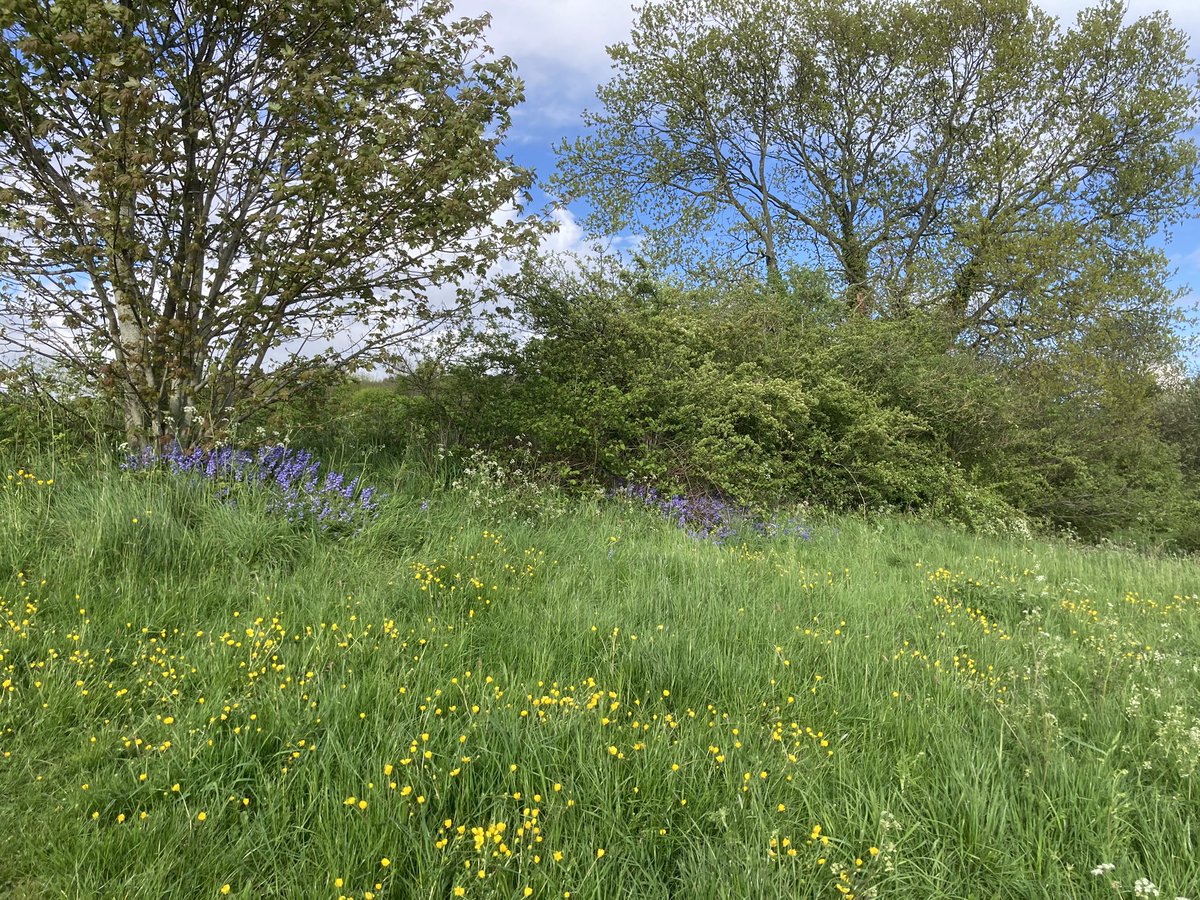 I love where we live. It’s so great to get into such a large piece of green and only a short walk. #BumbleholeNatureReserve @CanalRiverTrust @dudleymbc