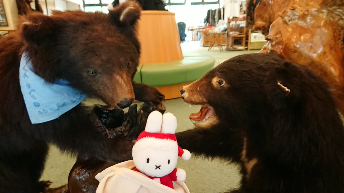 みーたん、撮るよ～💕

はぁい✨🐰

ハイチーズ📸

はっ‼️🐻

うしろのくまさんたちが、みーたん🐰を、、‼️🤤🐻