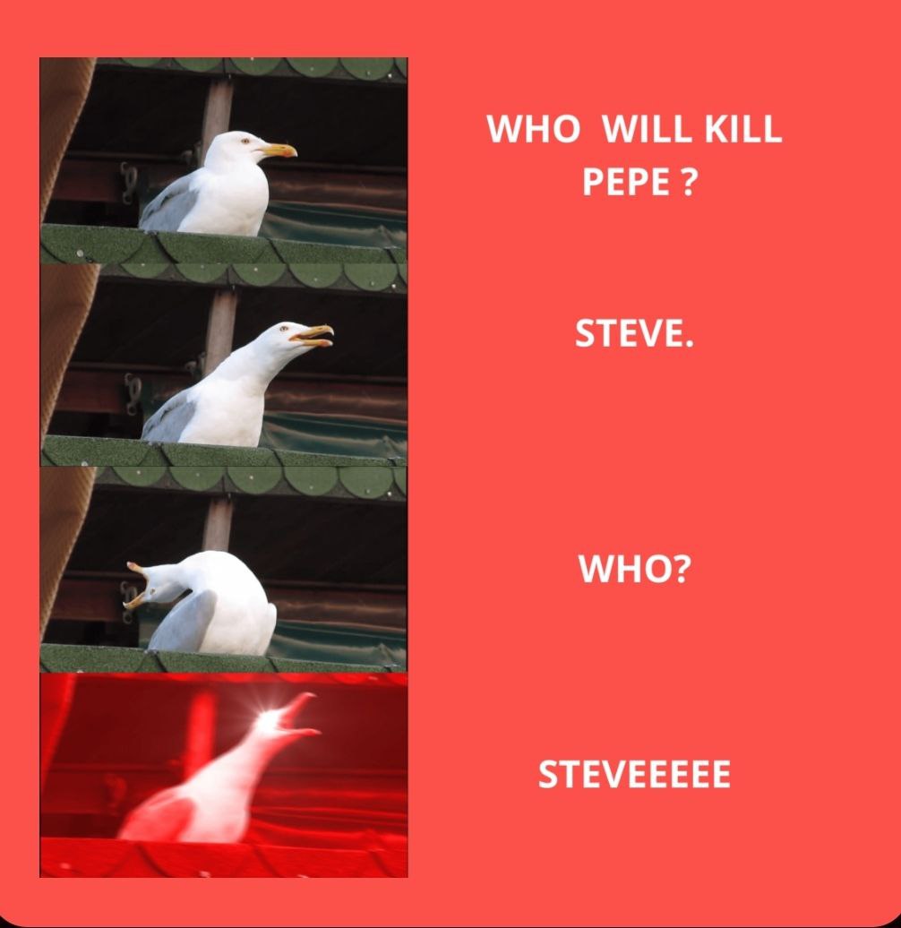FoolsDoge's tweet photo. @luckybb88 @pepecoincn @pepecoineth 买 $STEVE 吧 
$PEPE 杀手，现在交易量 7百万u
市值4百万   池子不到20w，锁了 合约弃权 https://t.co/ZwMQC4Xmdk