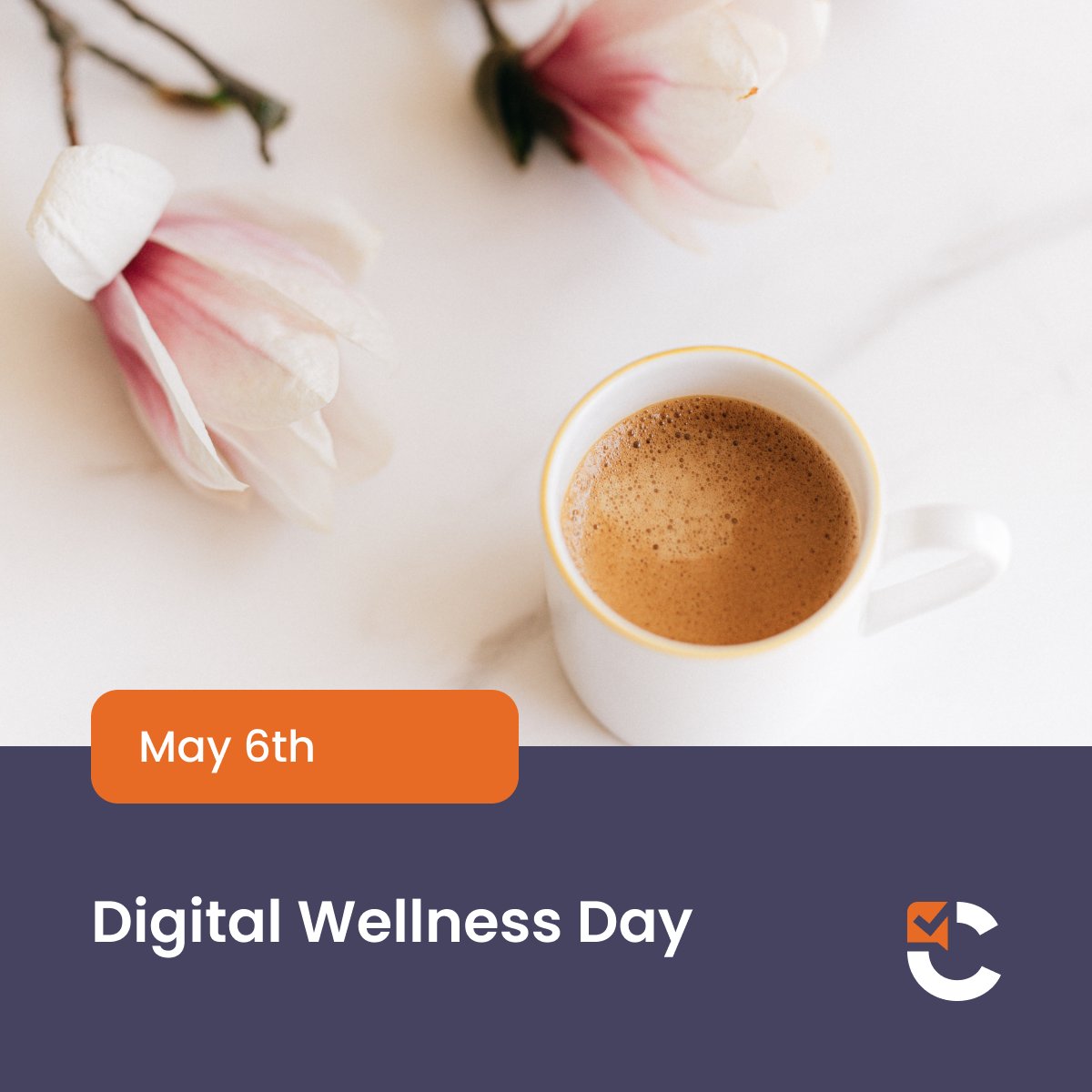 Cirrus Assessment tweet media