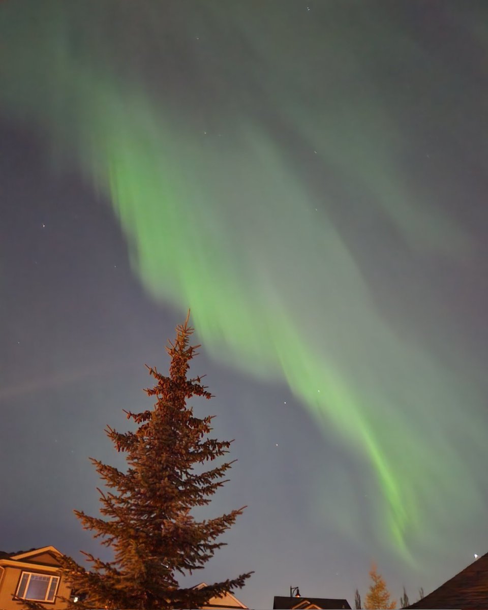 InspiritedSelf's tweet photo. Very pretty northern lights in west Edmonton tonight 💫💫💫 https://t.co/yfHbG3aYoS