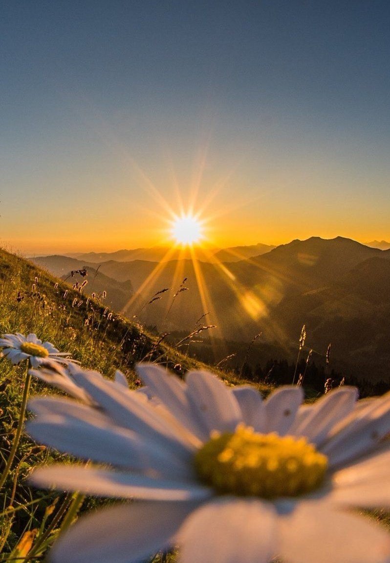 Tüm iyi ve temiz yüreklere... 
GÜNAYDIN! 🌄
#günaydın