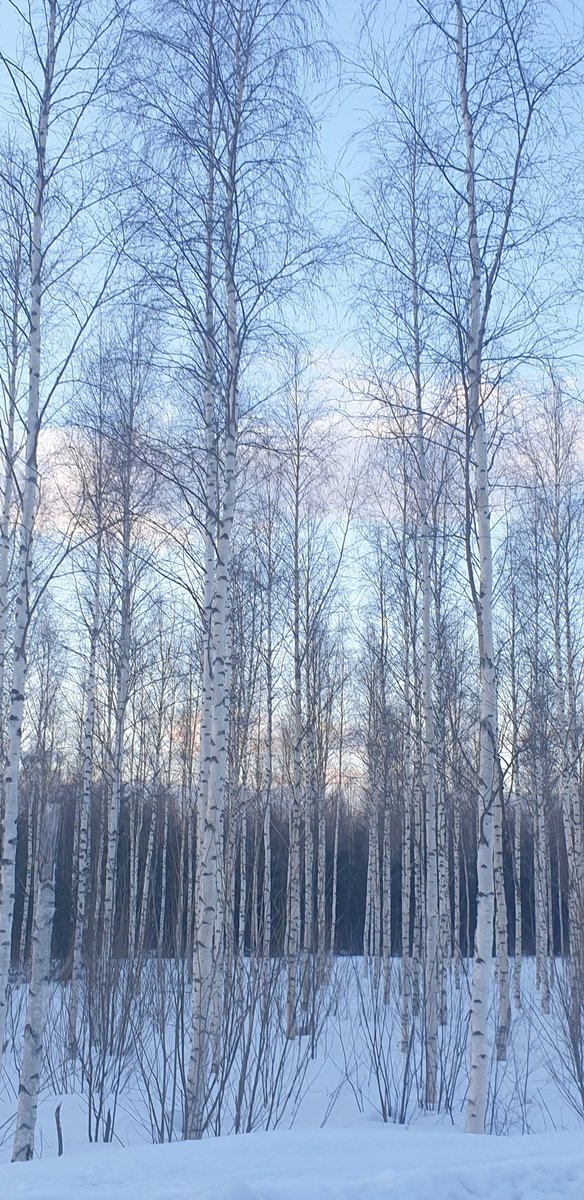 Héloïse tweet media