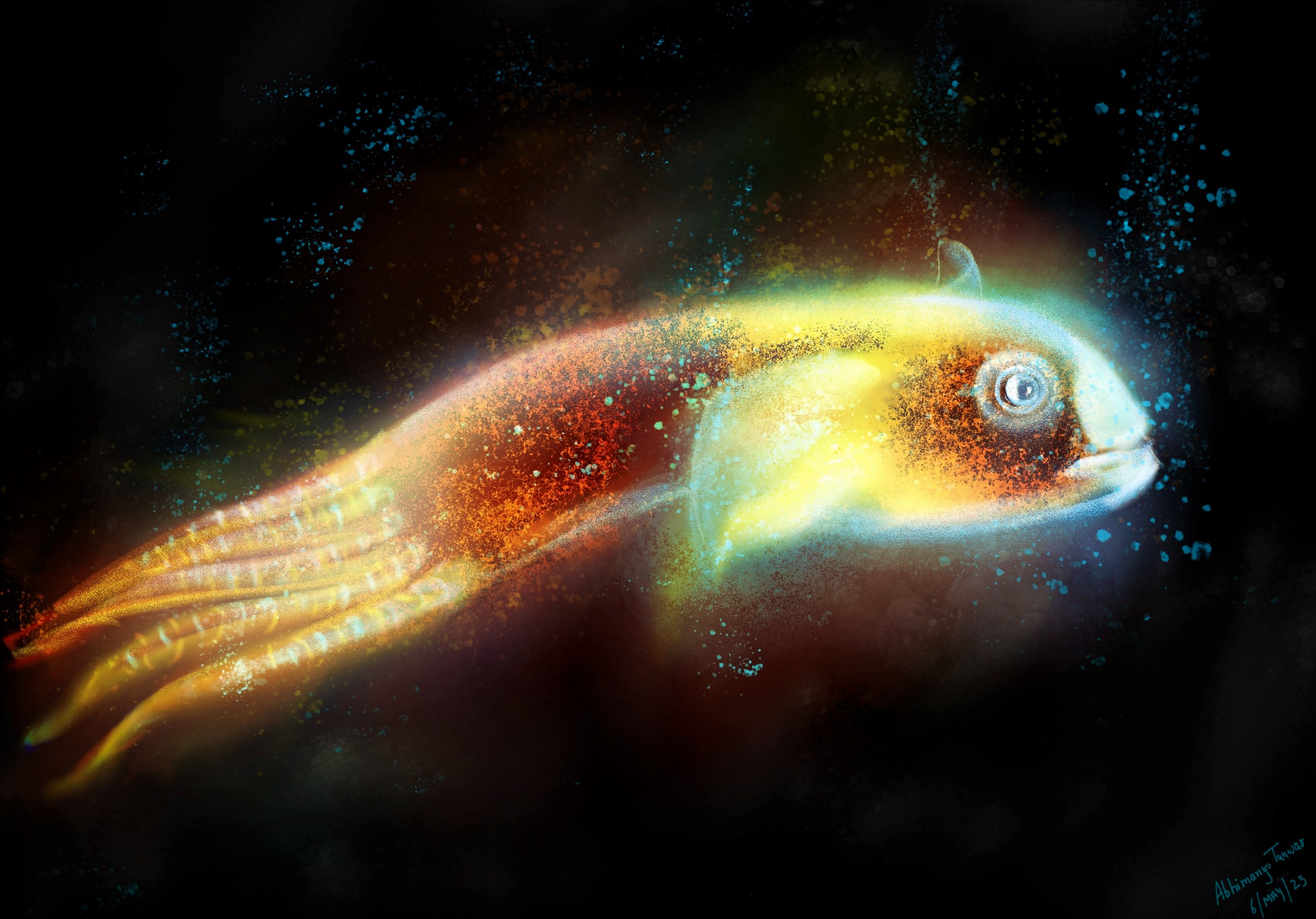 Abhimanyu Tanwar on X: A glowing angler fish #drawing #sketch #ocean   / X