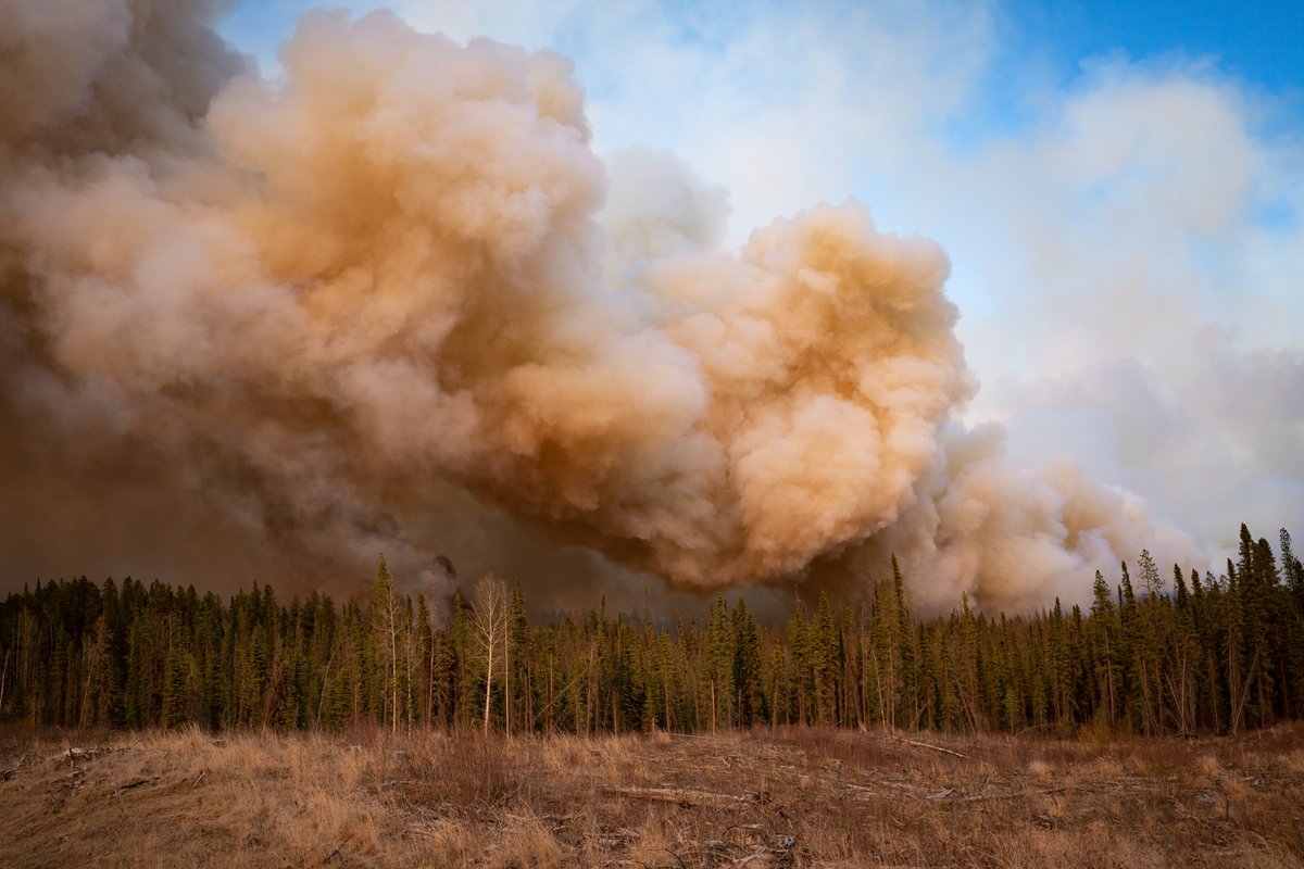 BadWeatherKyle's tweet photo. Some of the more grotesque, eerily-coloured smoke plumes I've ever seen tonight over central Alberta wildfires #ABfire #ABstorm https://t.co/npHSvSkXIe