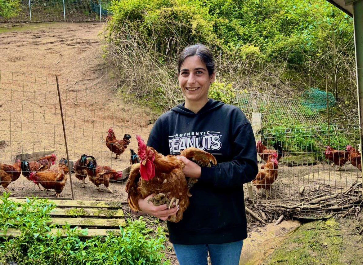 Jose Carlos Capel tweet media