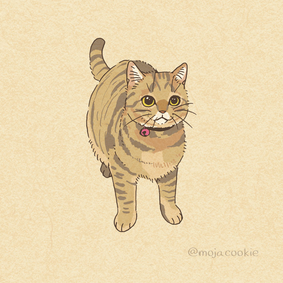 mojacookie's tweet photo. なっちゃんさんちの にゃんちゃんです。
#今日のにゃん絵 https://t.co/Jw9cOLNEM9