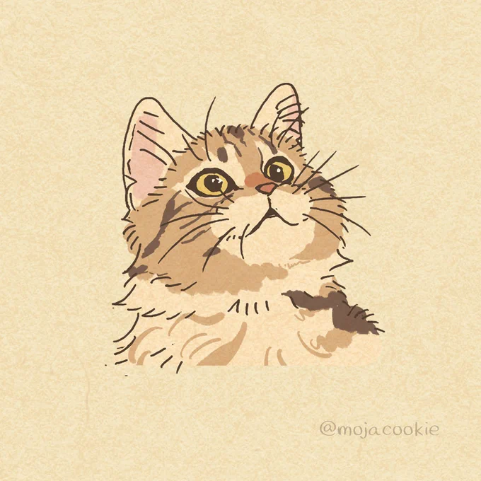 わきパカさんちの諭吉ちゃんです #今日のにゃん絵