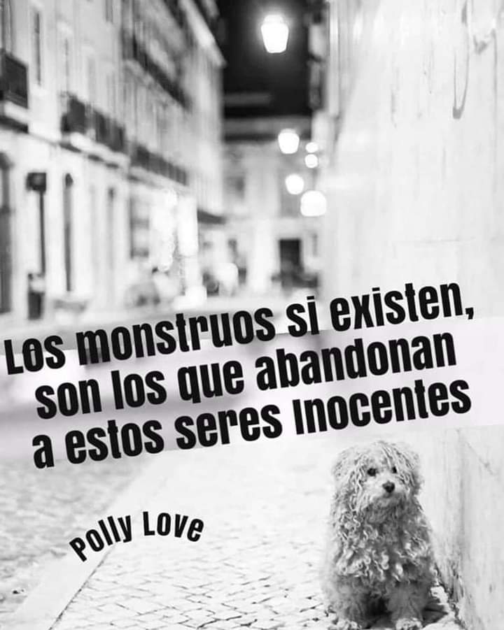 amilindaheidi's tweet photo. https://t.co/MnXjlNKGp8