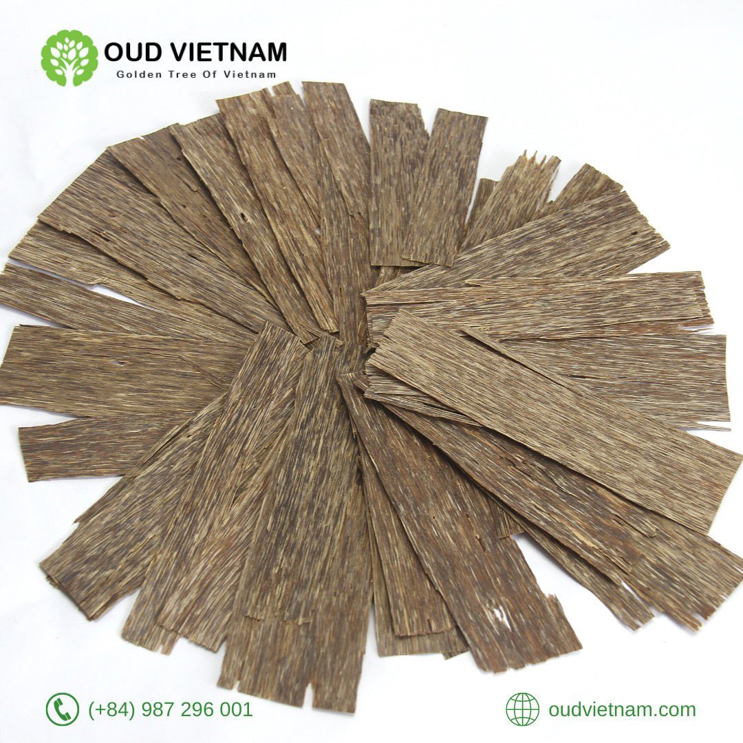 OudVietnam's tweet photo. #oudvietnam #tramhuong #kuwait #bakhoor #perfurmeoftheday #fragrantica #oudh #scentsy #aromatherapy #aquilaria #fragrance #spa #god #prayers #luxurylife #aroma #muslim #oudsticks #islam #gaharu #agarwood #oudh #oudwood #oudperfume
#العود_الأزرق
#دهن_عود
#عود_طبيعي https://t.co/4h3DndvSoE