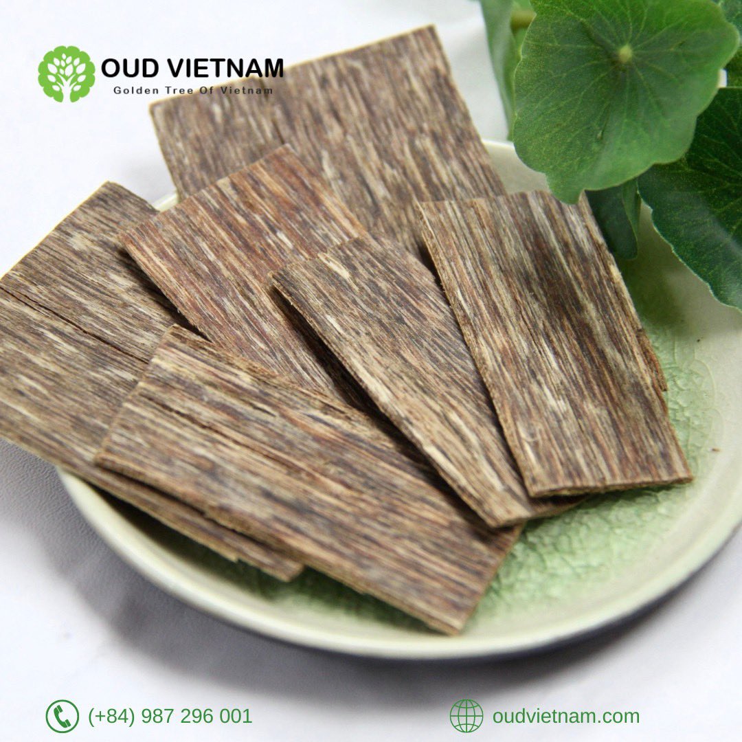 OudVietnam's tweet photo. #oudvietnam #tramhuong #kuwait #bakhoor #perfurmeoftheday #fragrantica #oudh #scentsy #aromatherapy #aquilaria #fragrance #spa #god #prayers #luxurylife #aroma #muslim #oudsticks #islam #gaharu #agarwood #oudh #oudwood #oudperfume
#العود_الأزرق
#دهن_عود
#عود_طبيعي https://t.co/4h3DndvSoE