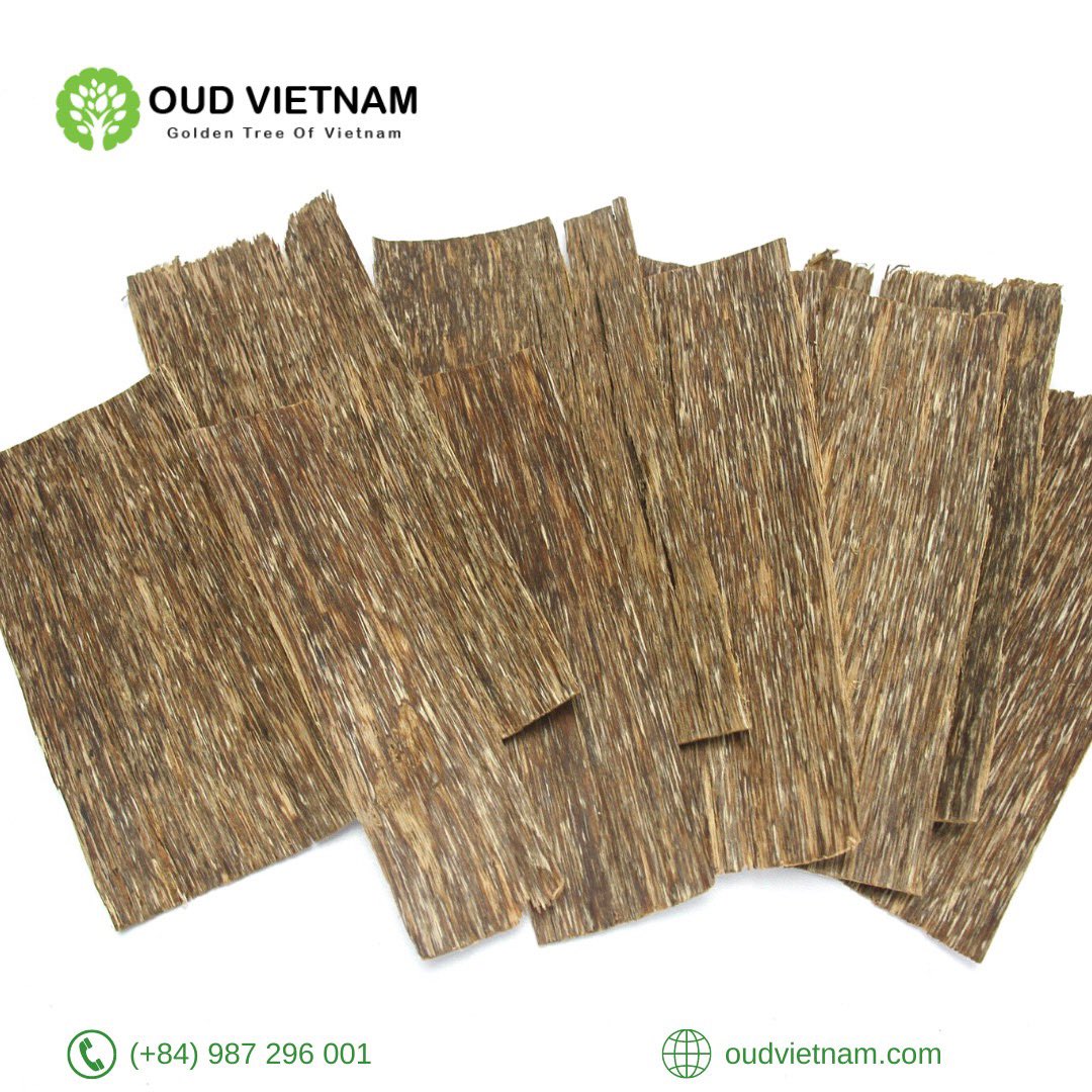 OudVietnam's tweet photo. #oudvietnam #tramhuong #kuwait #bakhoor #perfurmeoftheday #fragrantica #oudh #scentsy #aromatherapy #aquilaria #fragrance #spa #god #prayers #luxurylife #aroma #muslim #oudsticks #islam #gaharu #agarwood #oudh #oudwood #oudperfume
#العود_الأزرق
#دهن_عود
#عود_طبيعي https://t.co/4h3DndvSoE