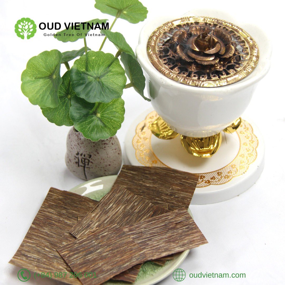 OudVietnam's tweet photo. #oudvietnam #tramhuong #kuwait #bakhoor #perfurmeoftheday #fragrantica #oudh #scentsy #aromatherapy #aquilaria #fragrance #spa #god #prayers #luxurylife #aroma #muslim #oudsticks #islam #gaharu #agarwood #oudh #oudwood #oudperfume
#العود_الأزرق
#دهن_عود
#عود_طبيعي https://t.co/4h3DndvSoE